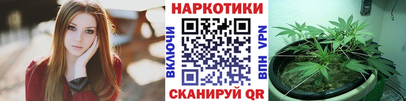 Где купить наркоту Дятьково КОКАИН НБОМе СК Гашиш Меф мяу мяу Канабис