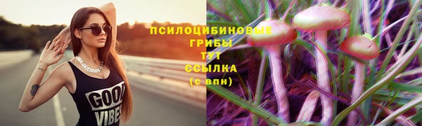 СК Бронницы
