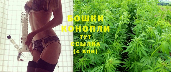 дурь Бородино