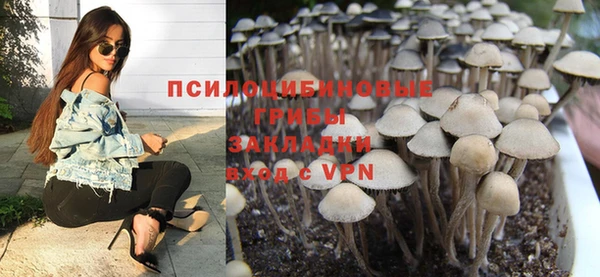 дурь Бородино