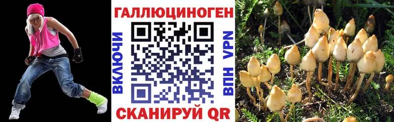 Псилоцибиновые грибы Psilocybine cubensis  Дятьково 